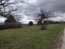 Allée Royale
